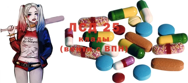 винт Аркадак
