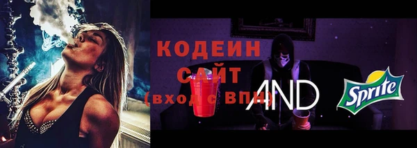 дурь Арсеньев