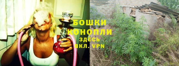 spice Балабаново