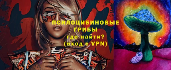 винт Аркадак