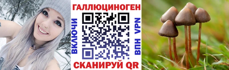 как найти   Николаевск-на-Амуре  Галлюциногенные грибы ЛСД 